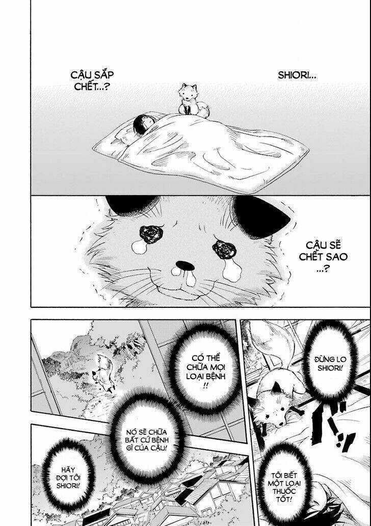 Vị Thần Ma Cà Rồng Chapter 2 trang 15