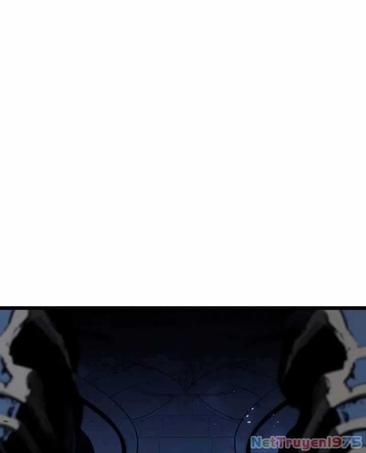 Vị Vua Mạnh Nhất Đã Trở Lại Chương 125 trang 19