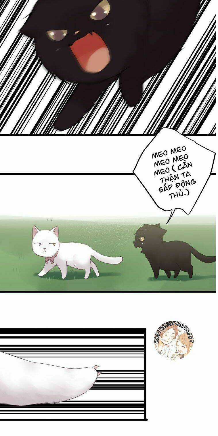 Viện Bảo Tàng Tâm Nguyện Chapter 21.2 trang 10