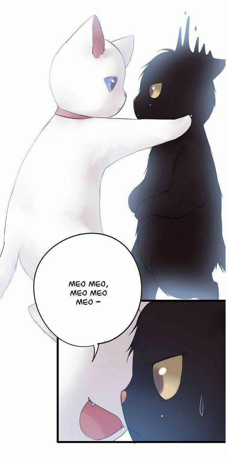 Viện Bảo Tàng Tâm Nguyện Chapter 21.2 trang 11