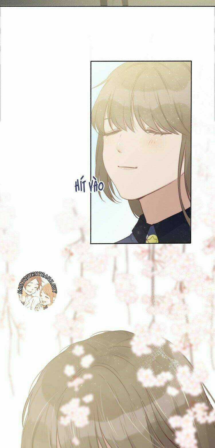 Viện Bảo Tàng Tâm Nguyện Chapter 27.1 trang 13