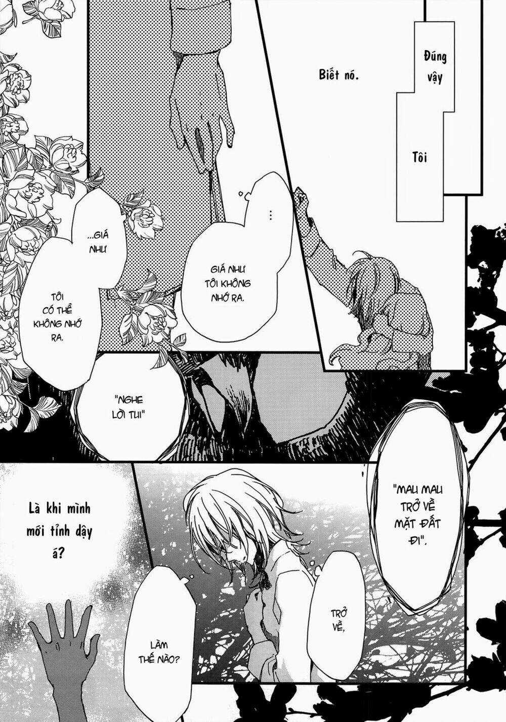 Viên Đá Của Nirvana Chapter 1 trang 27