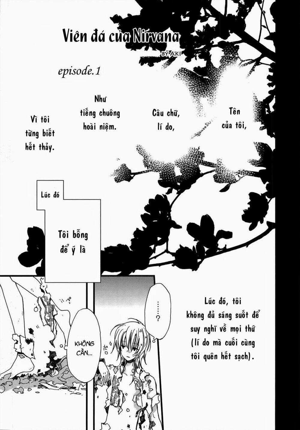 Viên Đá Của Nirvana Chapter 1 trang 3