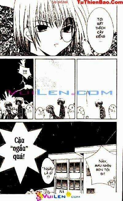 Viên Ngọc Nhiệm Màu Chapter 2 trang 52