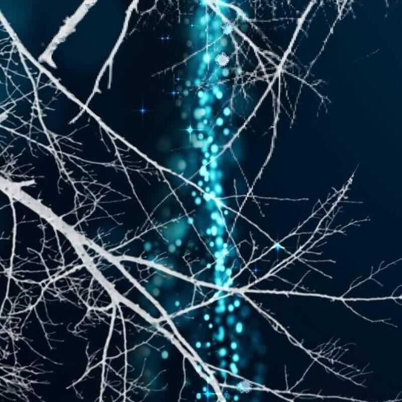 Vinh Quang Vô Tận Chapter 25 trang 240