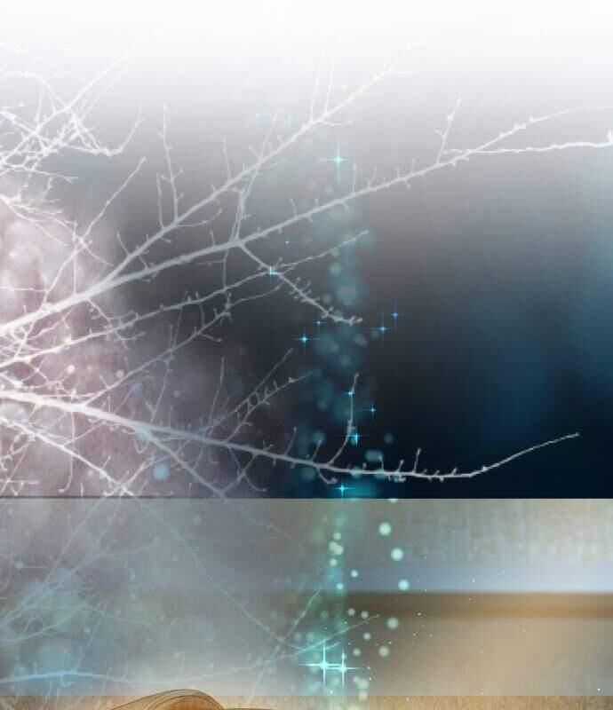 Vinh Quang Vô Tận Chapter 29 trang 2