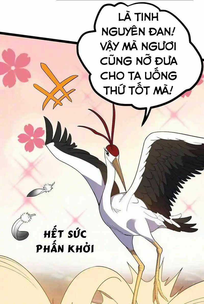 Vĩnh Sinh Chapter 41 trang 36