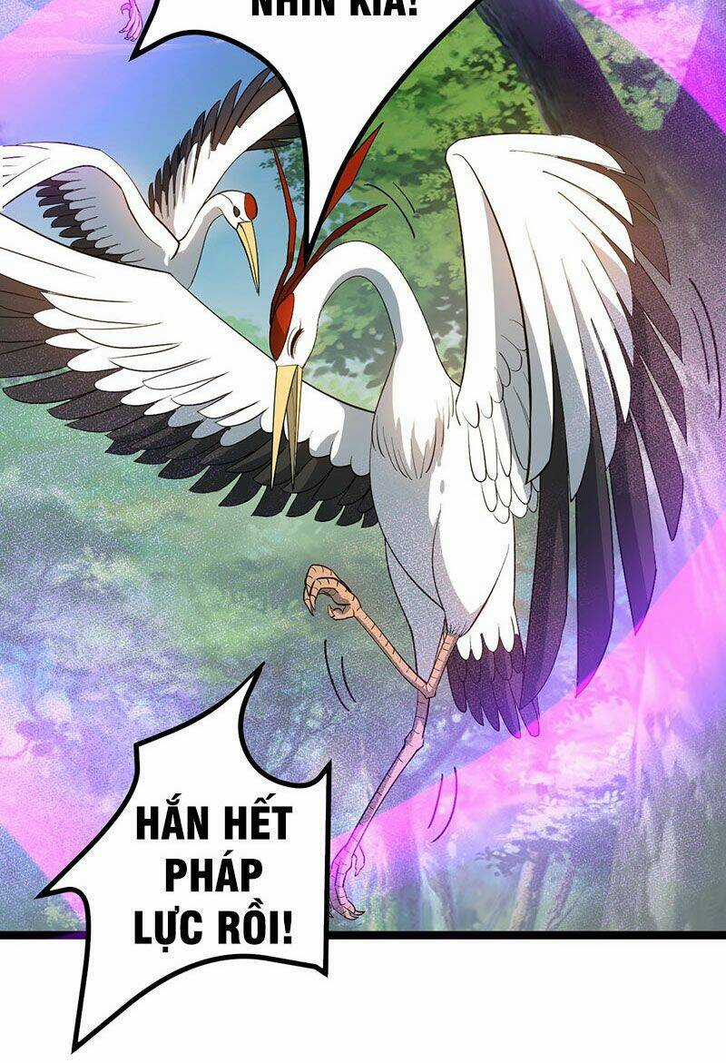 Vĩnh Sinh Chapter 7 trang 51