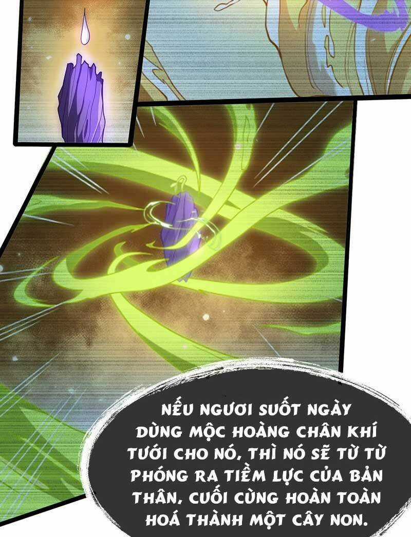 Vĩnh Sinh Chapter 74 trang 12