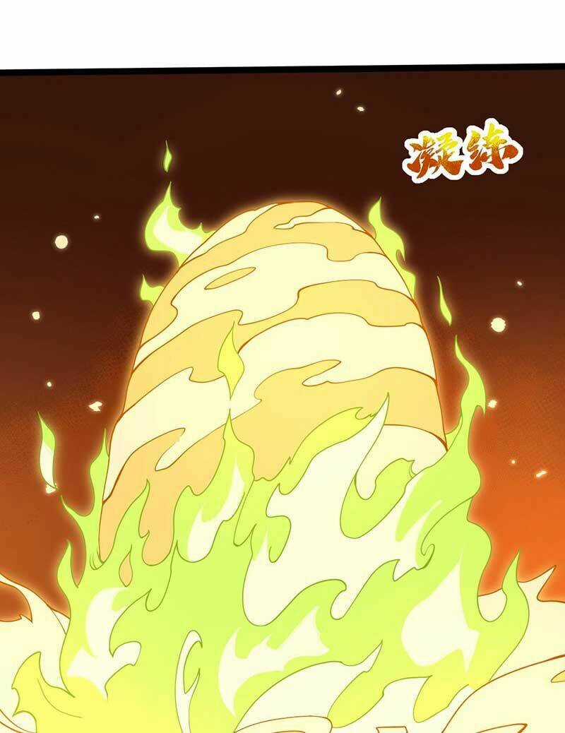 Vĩnh Sinh Chapter 79 trang 11