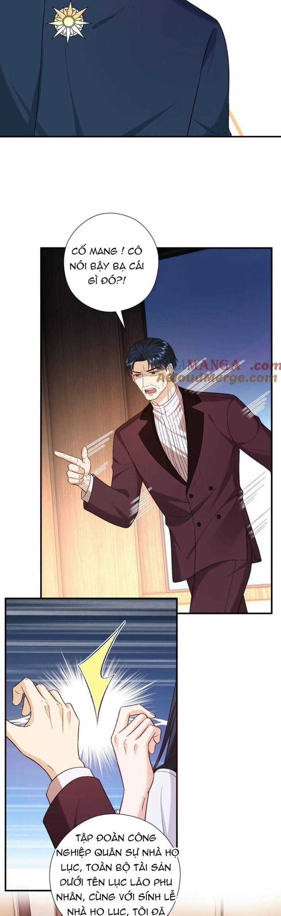 Vợ Của Lục Tổng Không Phải Dạng Vừa Chương 196 trang 14