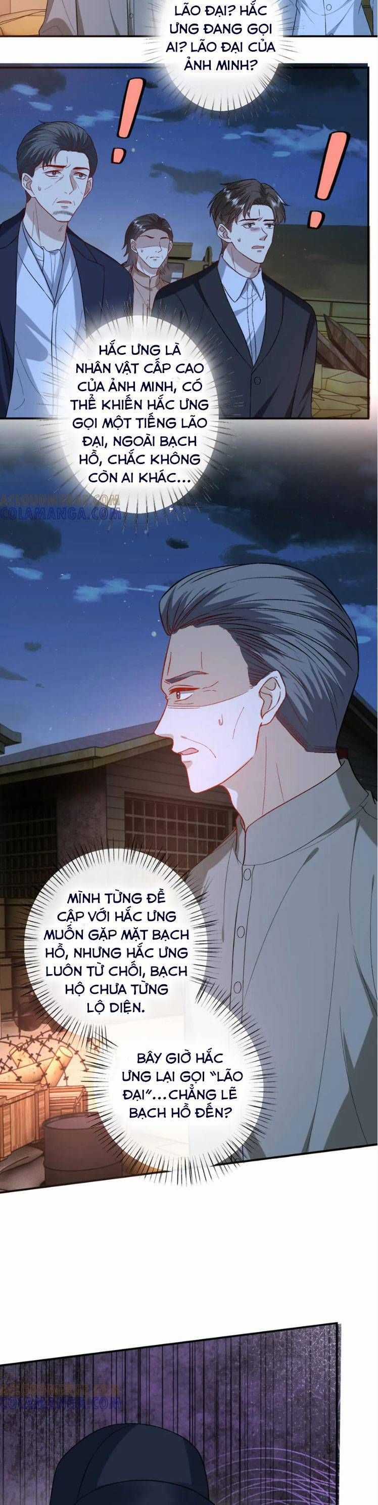 Vợ Của Lục Tổng Không Phải Dạng Vừa Chương 210 trang 13