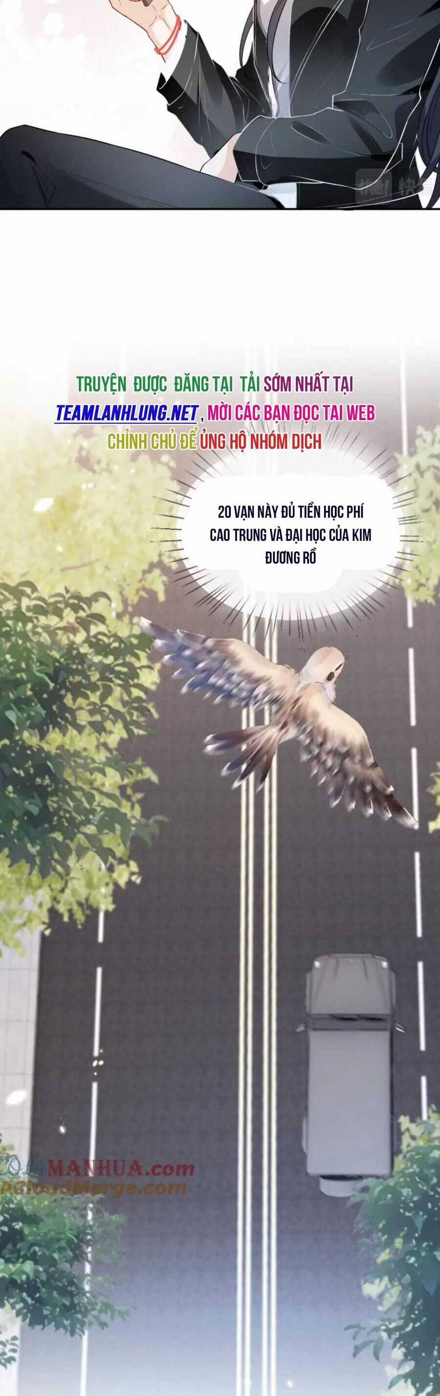 Vợ Của Lục Tổng Không Phải Dạng Vừa Chương 22 trang 10