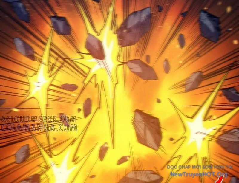 Vô Địch Bị Động Tạo Ra Tấn Sát Thương Chương 94 trang 113