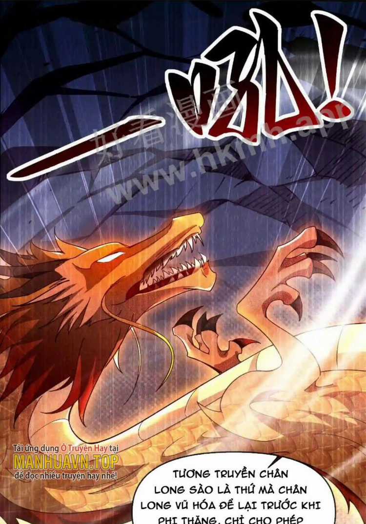 Vô Địch Đốn Ngộ Chapter 10 trang 5