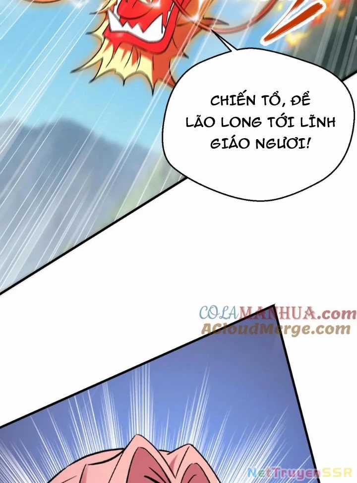 Vô Địch Đốn Ngộ Chapter 311 trang 10