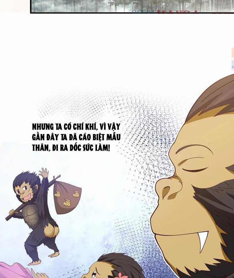 Vô Địch Thật Tịch Mịch Chapter 33 trang 14