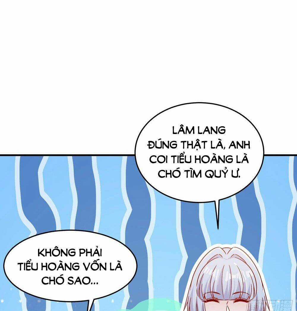 Vô Địch Từ Cưỡng Hôn Ma Nữ Chapter 155 trang 33