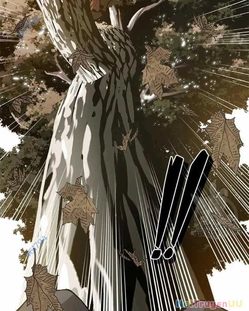 Vô Địch Vạn Quyền, Bất Khả Chiến Bại Chapter 23 trang 14