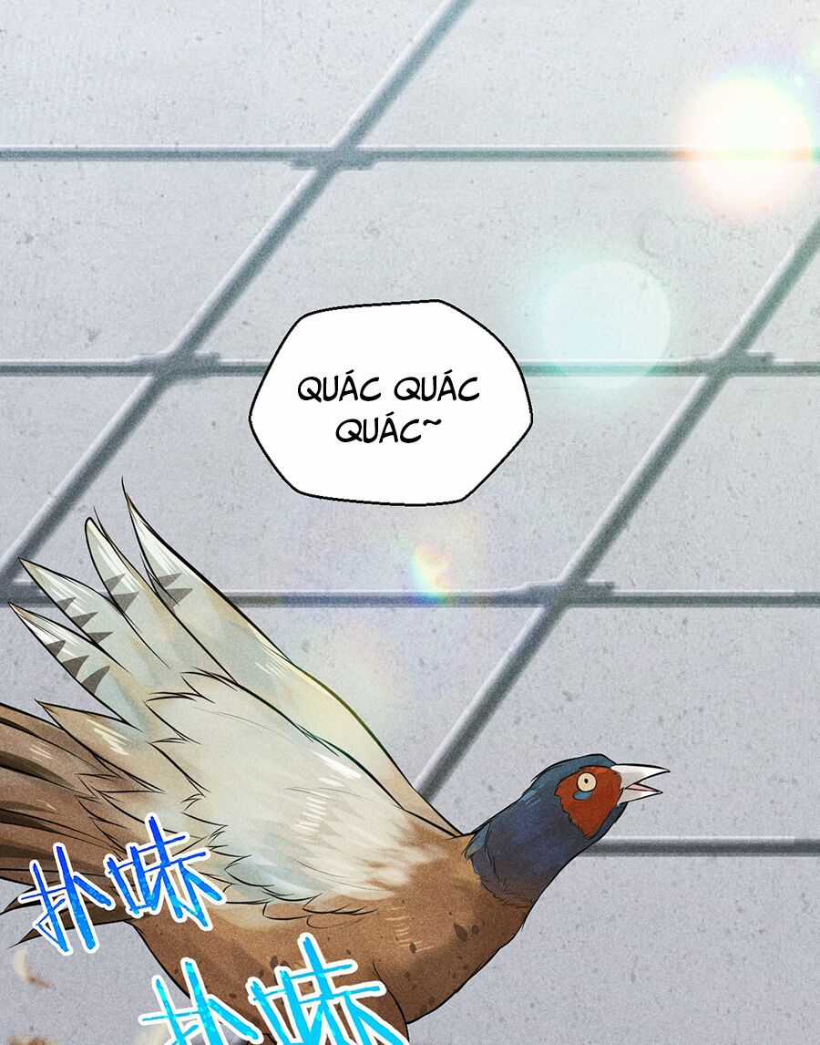 Võ Lâm Đệ Nhất Đầu Bếp Chapter 3 trang 47