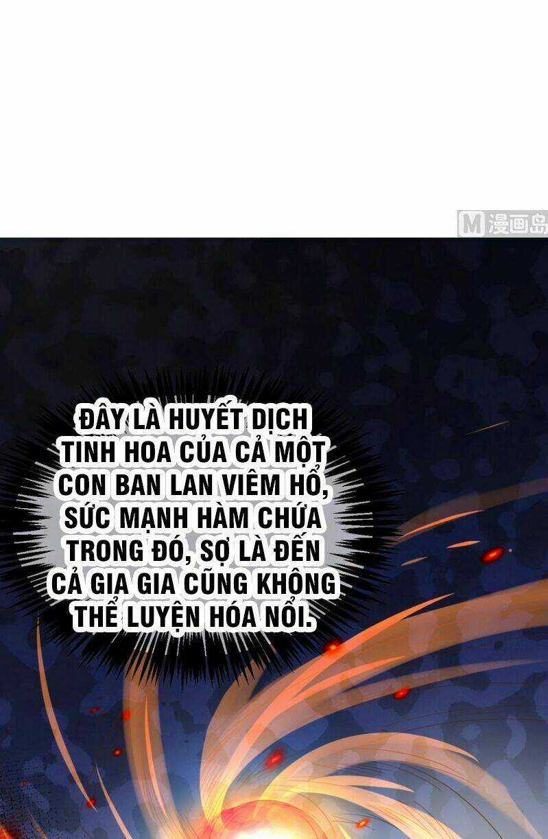 Võ Nghịch Cửu Thiên Chapter 6 trang 13