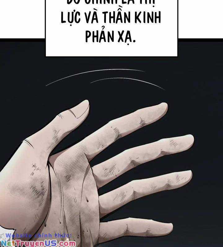 Võ Sĩ Quyền Anh Carly Chapter 1 trang 242