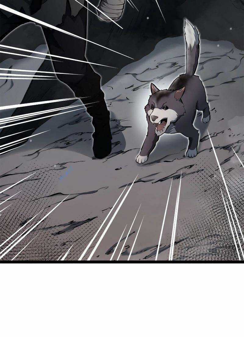 Võ Sĩ Quyền Anh Carly Chapter 32 trang 32