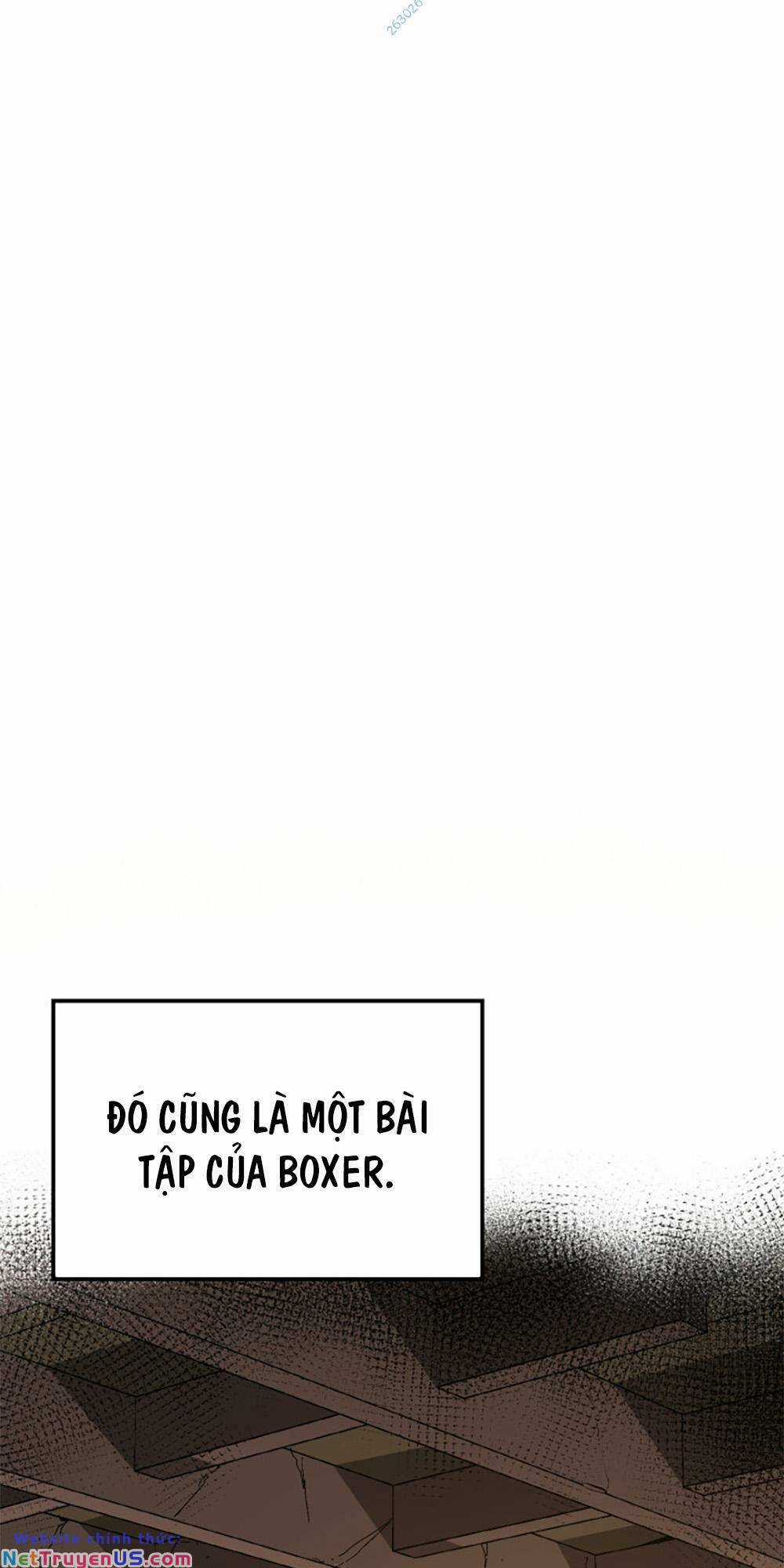 Võ Sĩ Quyền Anh Carly Chapter 7 trang 53