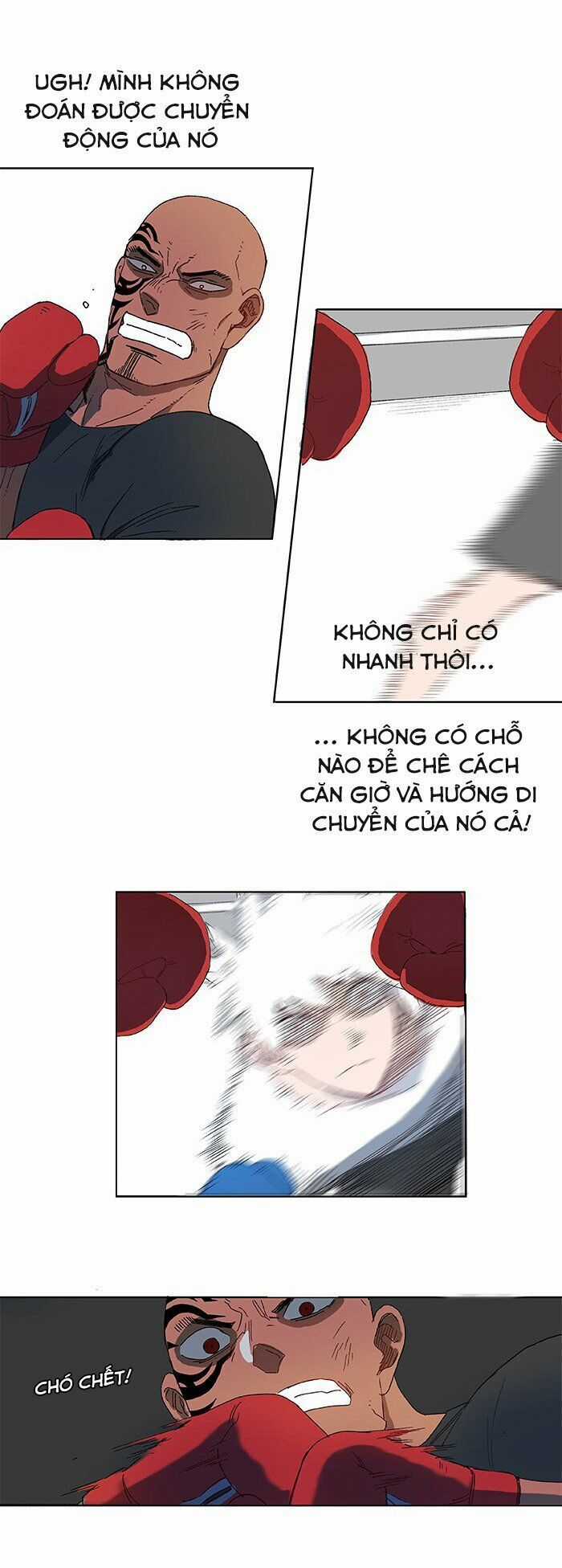 Võ Sĩ Quyền Anh Chapter 1 trang 48