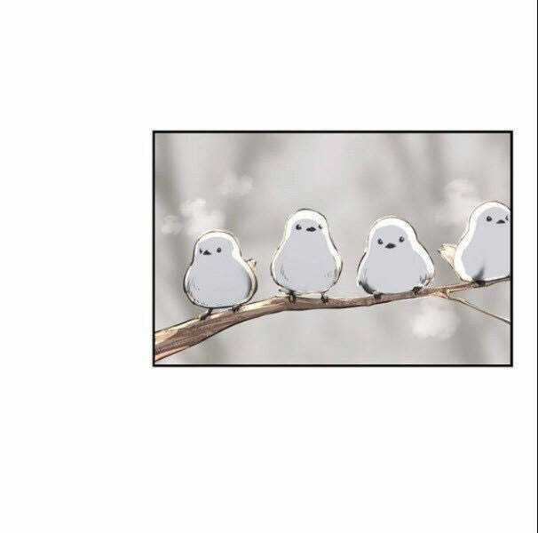 Võ Sĩ Quyền Anh Chapter 104 trang 6