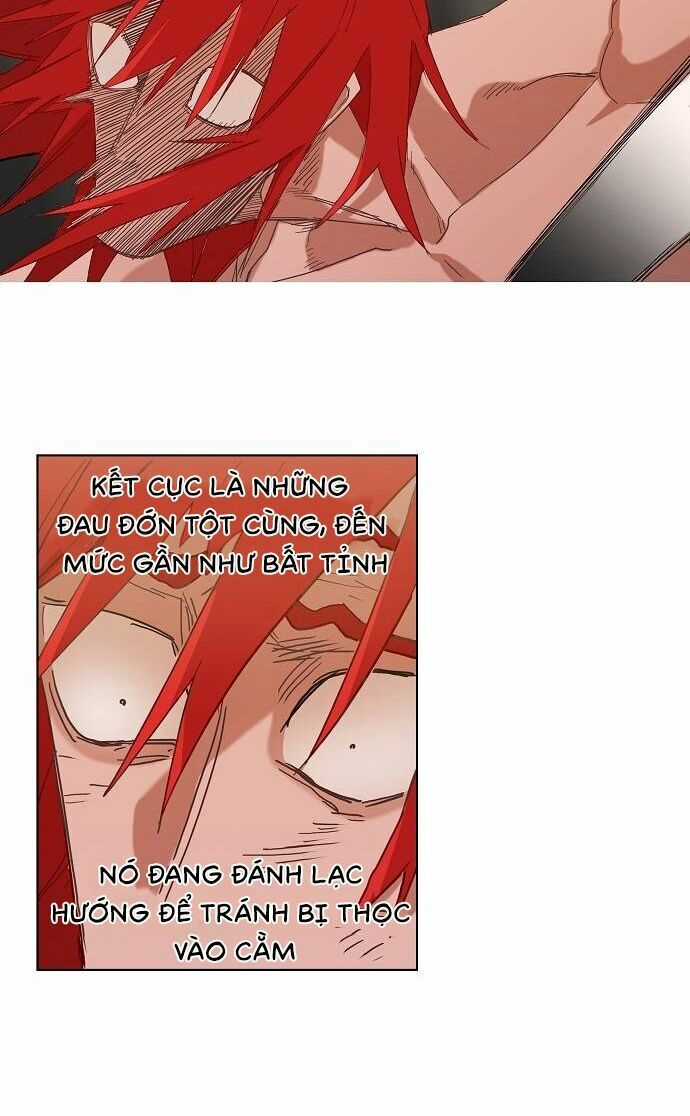 Võ Sĩ Quyền Anh Chapter 23 trang 12