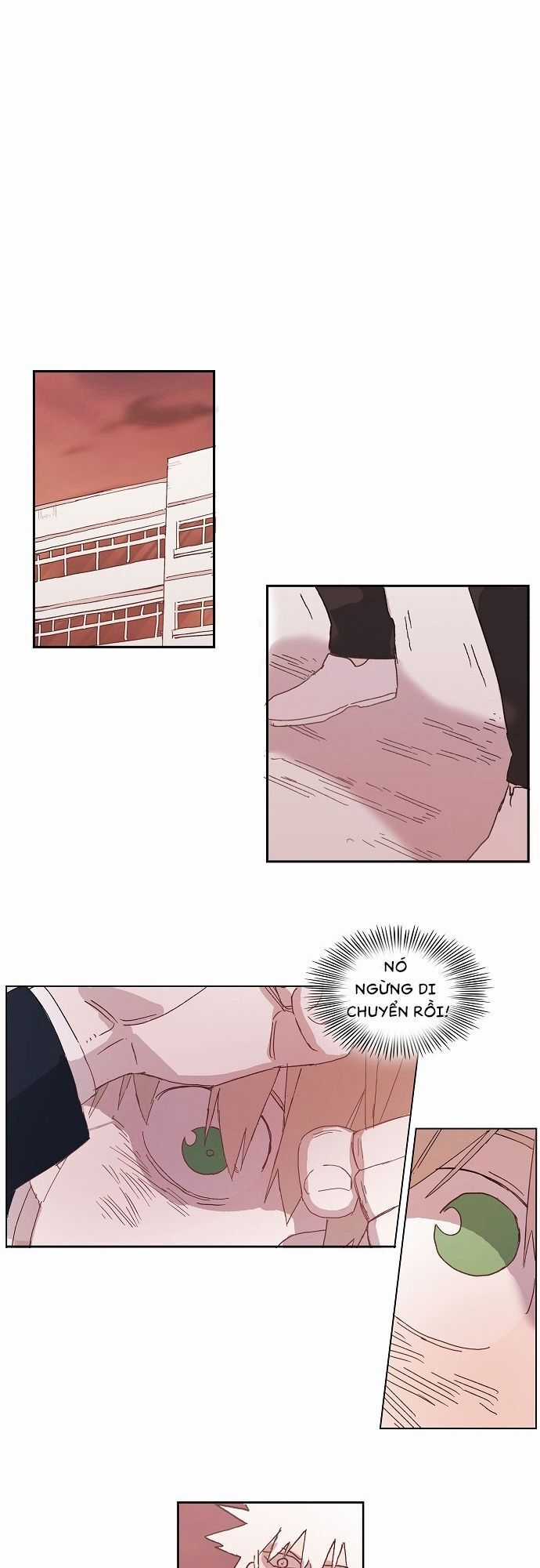 Võ Sĩ Quyền Anh Chapter 6 trang 37