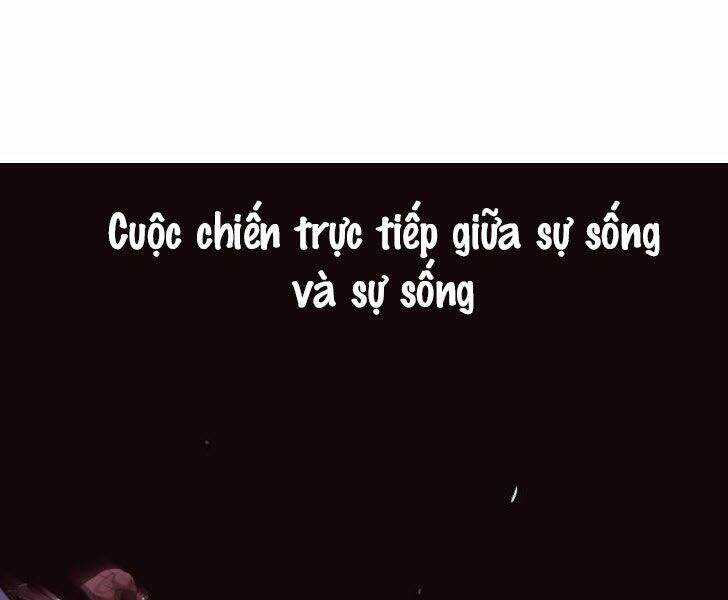 Võ Sĩ Quyền Anh Chapter 88 trang 197