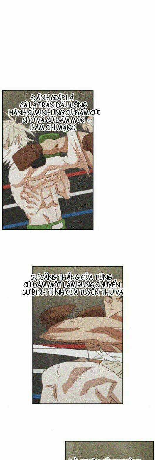 Võ Sĩ - The Boxer Chapter 36 trang 15