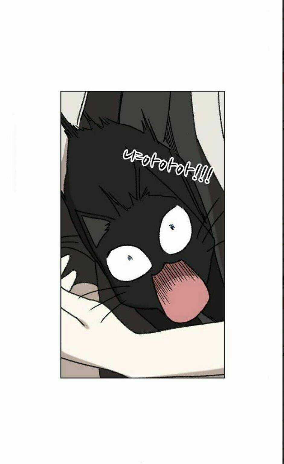 Võ Sĩ - The Boxer Chapter 56 trang 44