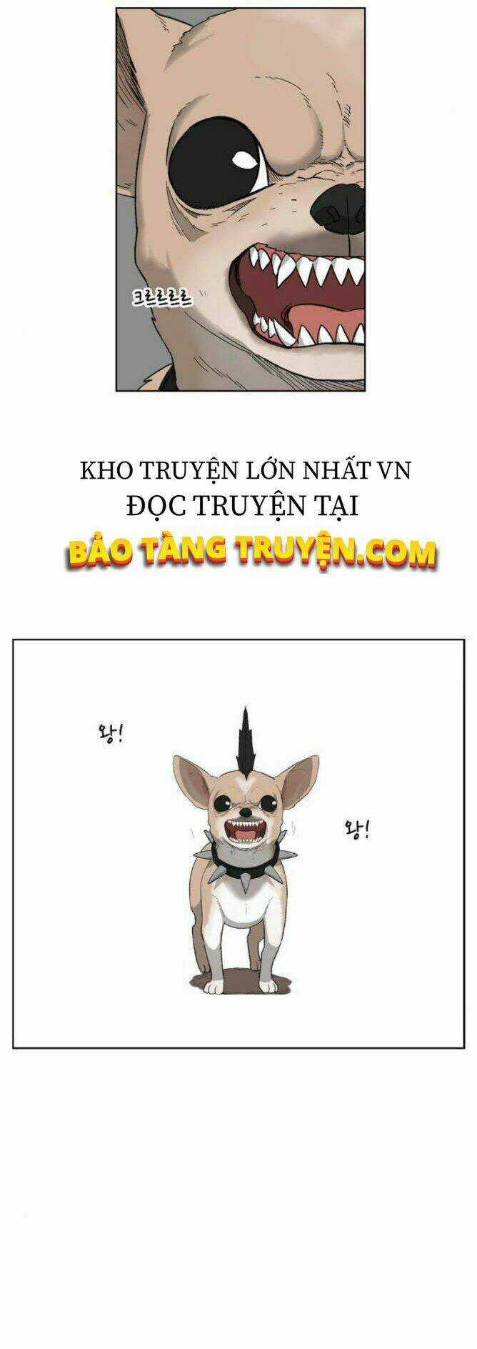 Võ Sĩ - The Boxer Chapter 75 trang 18