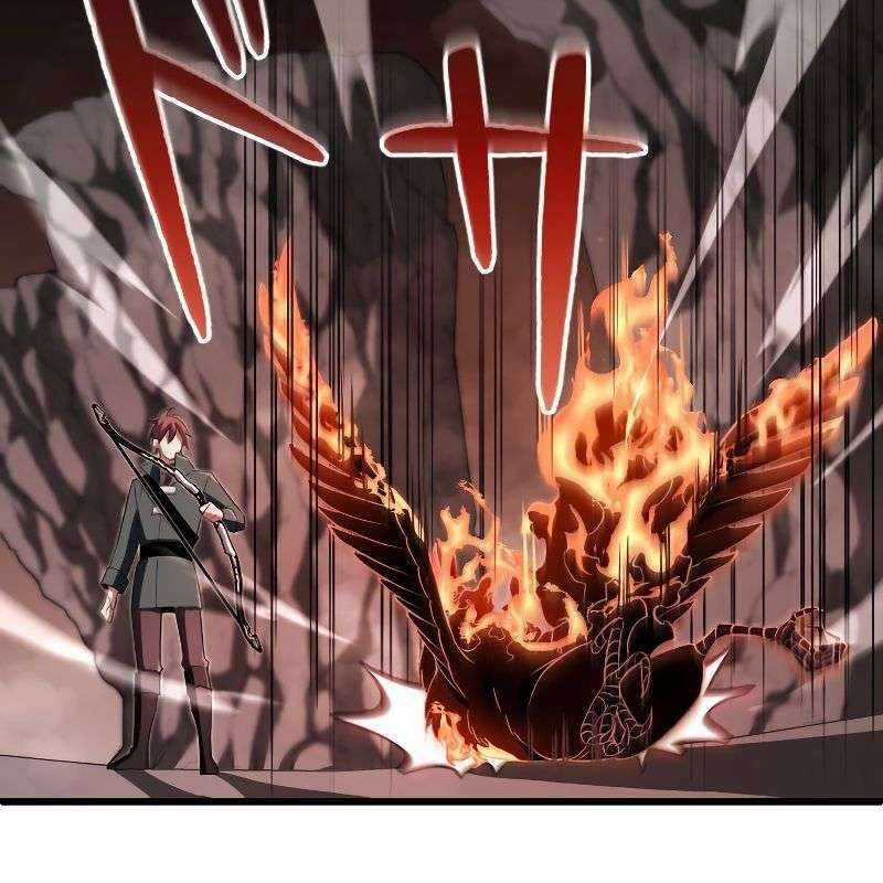 Vô Song Cùng Với Vũ Khí Ẩn Chapter 11 trang 12