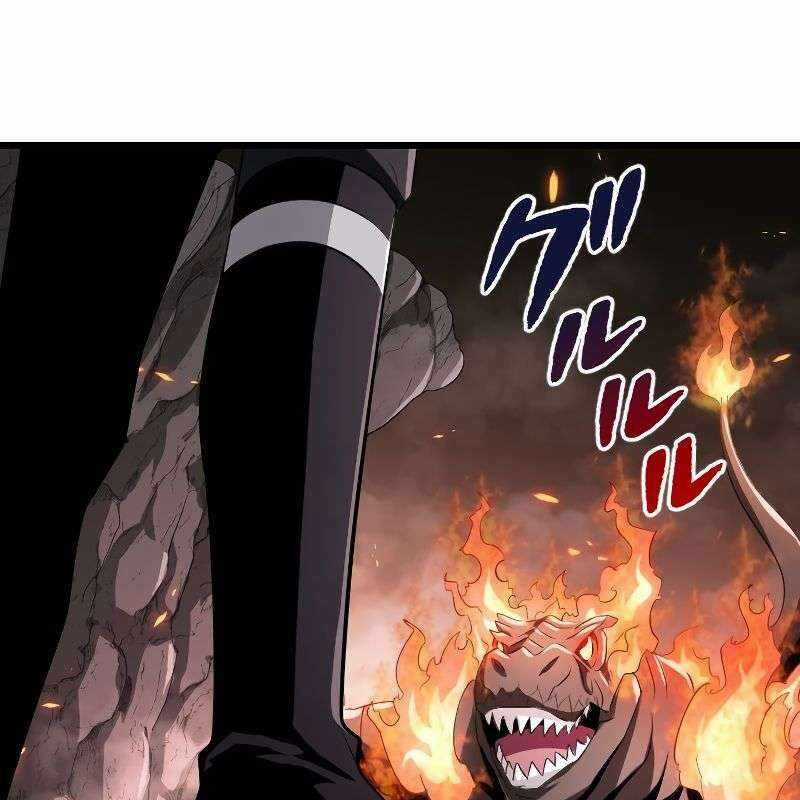 Vô Song Cùng Với Vũ Khí Ẩn Chapter 12 trang 10