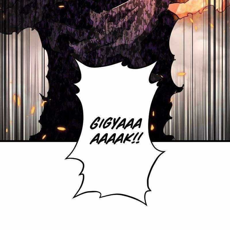 Vô Song Cùng Với Vũ Khí Ẩn Chapter 12 trang 111