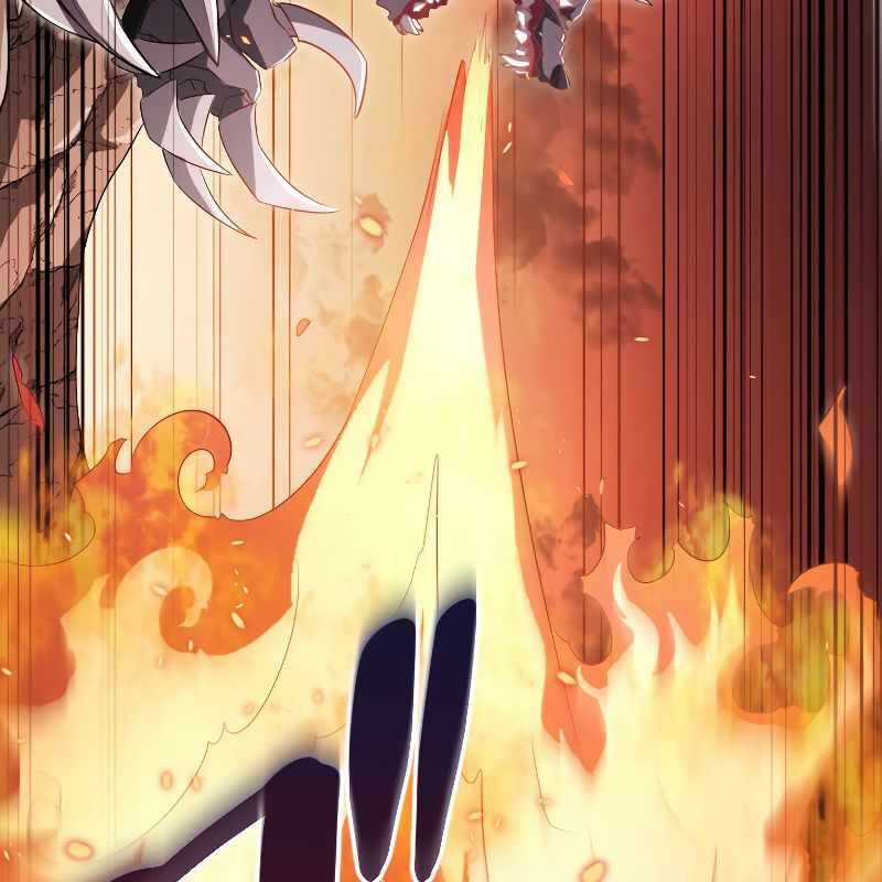 Vô Song Cùng Với Vũ Khí Ẩn Chapter 13 trang 165