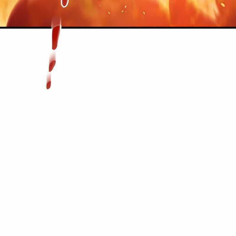 Vô Song Cùng Với Vũ Khí Ẩn Chapter 13 trang 167