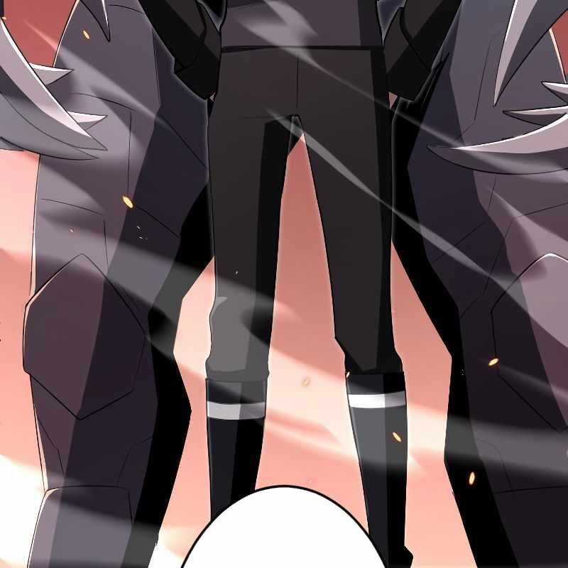 Vô Song Cùng Với Vũ Khí Ẩn Chapter 13 trang 189