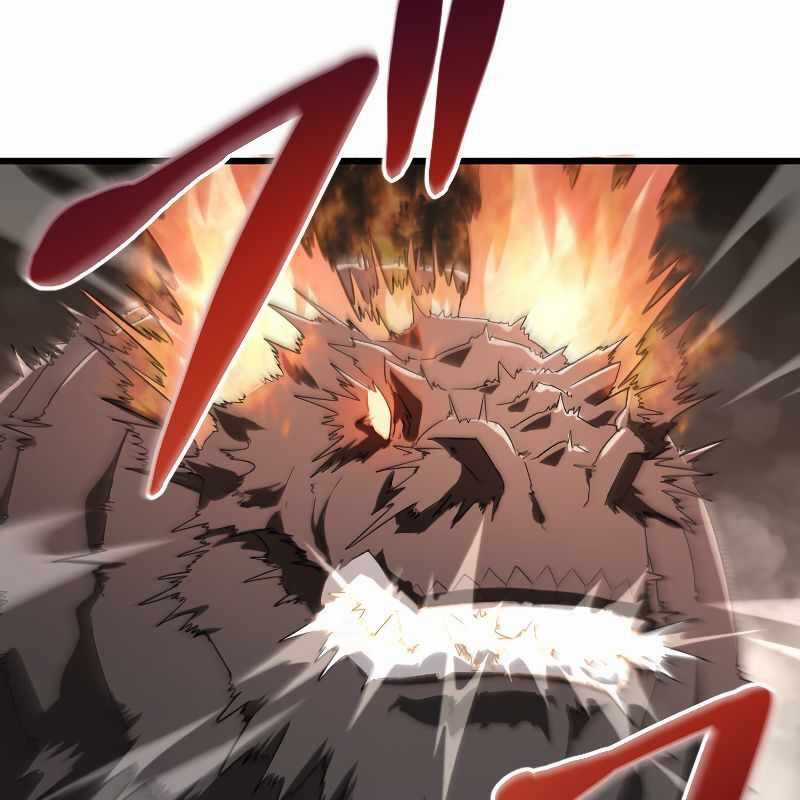 Vô Song Cùng Với Vũ Khí Ẩn Chapter 13 trang 5