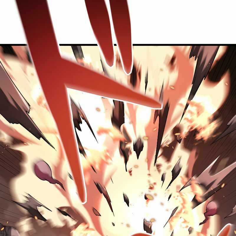 Vô Song Cùng Với Vũ Khí Ẩn Chapter 13 trang 7