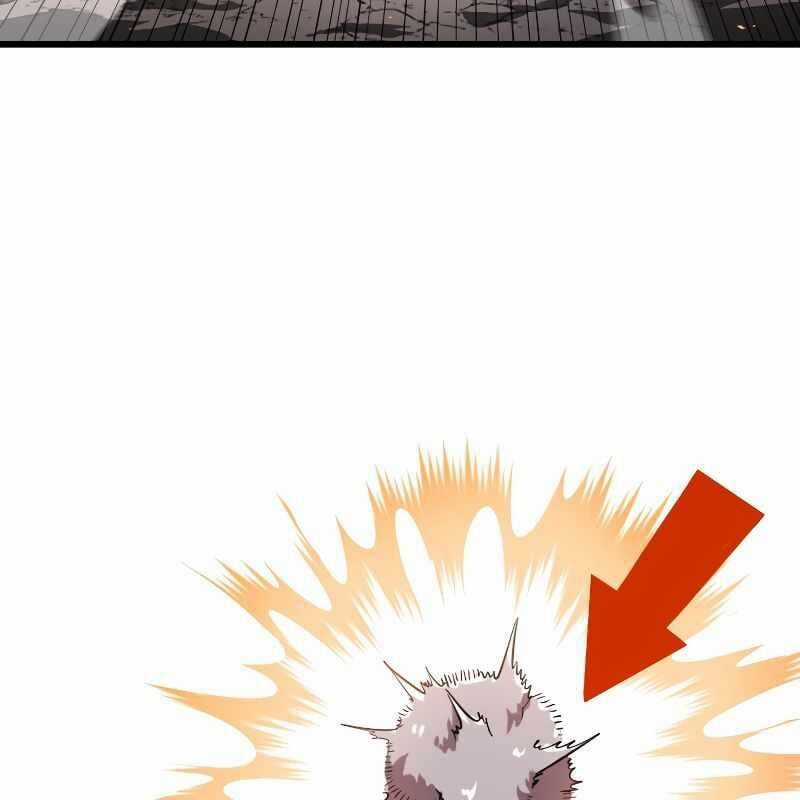 Vô Song Cùng Với Vũ Khí Ẩn Chapter 13 trang 9