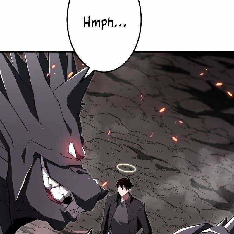 Vô Song Cùng Với Vũ Khí Ẩn Chapter 14 trang 18