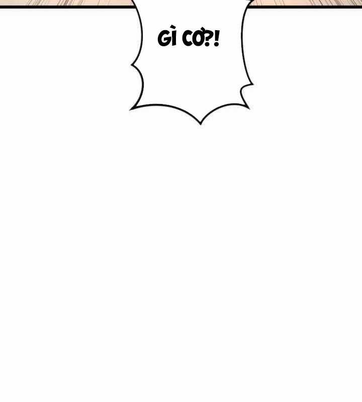 Vô Song Cùng Với Vũ Khí Ẩn Chapter 19 trang 25