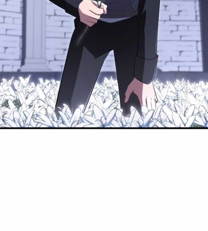 Vô Song Cùng Với Vũ Khí Ẩn Chapter 20 trang 46