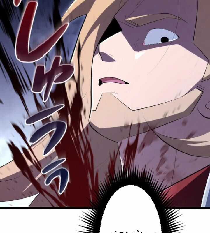 Vô Song Cùng Với Vũ Khí Ẩn Chapter 21 trang 14