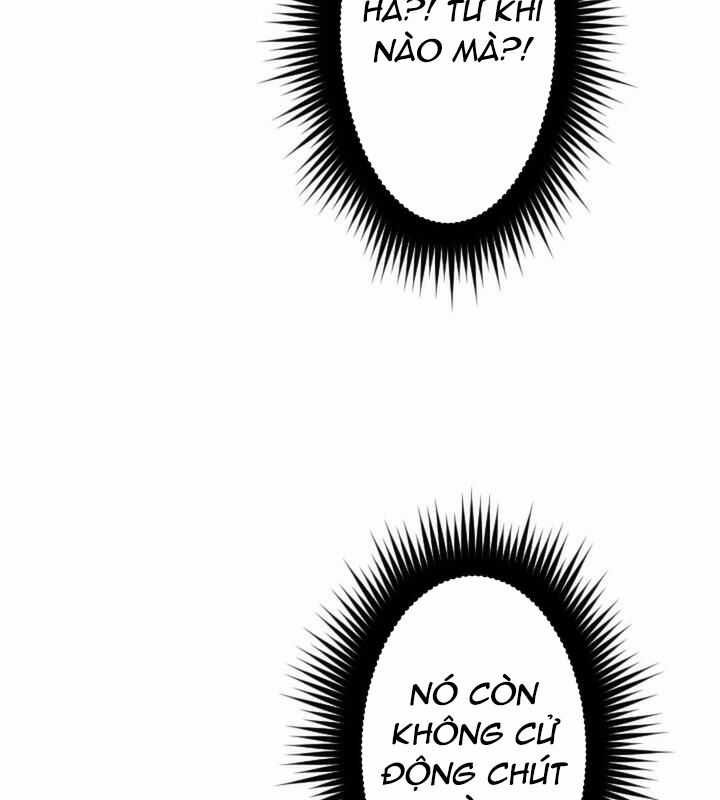 Vô Song Cùng Với Vũ Khí Ẩn Chapter 21 trang 15